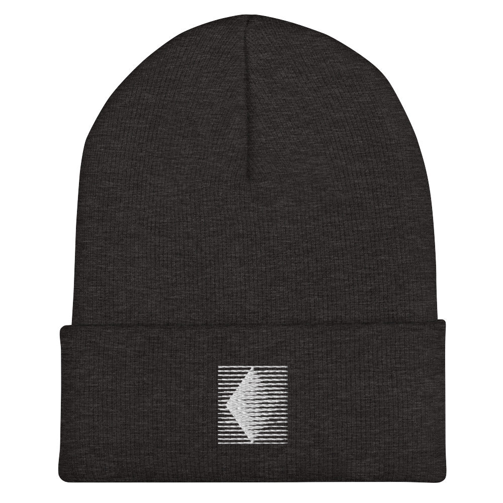 Hat Cuffed Beanie